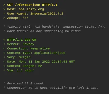 Requisição GET para a API do ipify